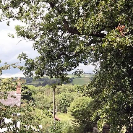 The Tree House *
